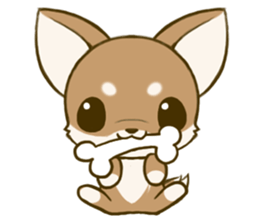 Chihuahuatan 7 sticker #8782495