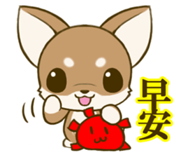 Chihuahuatan 6 sticker #8783058