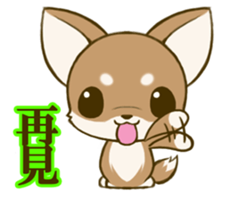 Chihuahuatan 6 sticker #8783062