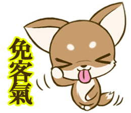 Chihuahuatan 6 sticker #8783065