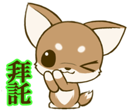Chihuahuatan 6 sticker #8783066