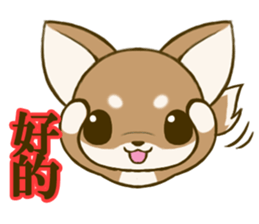 Chihuahuatan 6 sticker #8783067