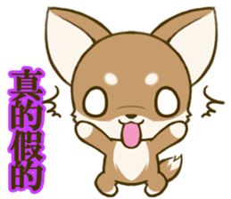 Chihuahuatan 6 sticker #8783069