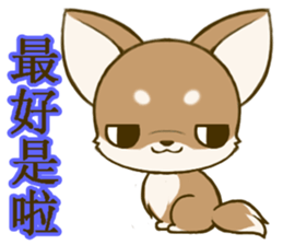 Chihuahuatan 6 sticker #8783070