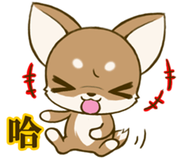 Chihuahuatan 6 sticker #8783071