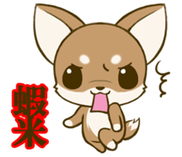 Chihuahuatan 6 sticker #8783074