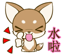 Chihuahuatan 6 sticker #8783076