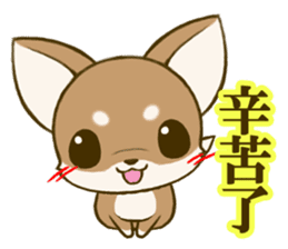 Chihuahuatan 6 sticker #8783080