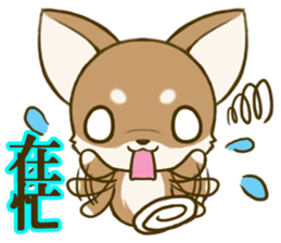 Chihuahuatan 6 sticker #8783081