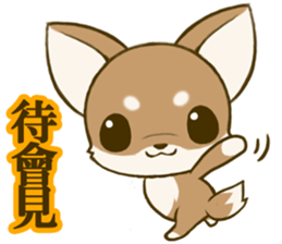 Chihuahuatan 6 sticker #8783083
