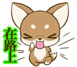 Chihuahuatan 6 sticker #8783084