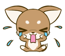 Chihuahuatan 6 sticker #8783090