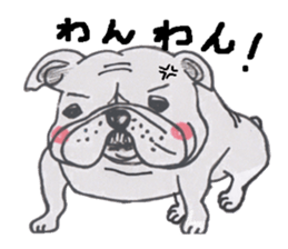 Weakness dog, Bulldog sticker #8786544