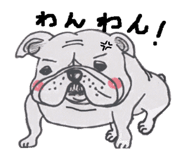 Weakness dog, Bulldog sticker #8786544