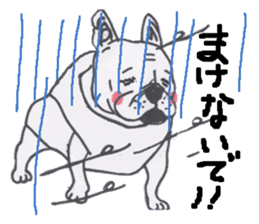Weakness dog, Bulldog sticker #8786549