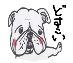 Weakness dog, Bulldog sticker #8786550