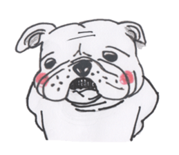 Weakness dog, Bulldog sticker #8786554