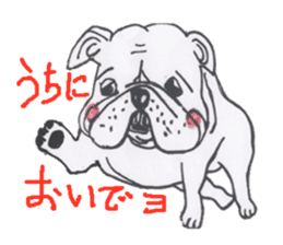 Weakness dog, Bulldog sticker #8786558