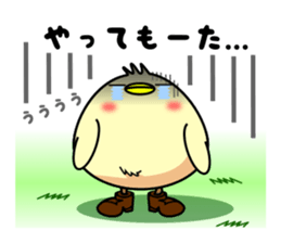 Kutsu-Piyo 1 sticker #8787160