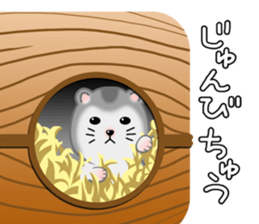 Djungarian Hamster. sticker #8793174