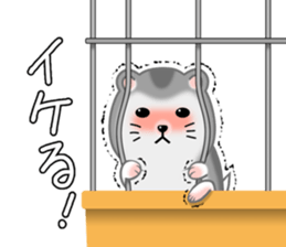 Djungarian Hamster. sticker #8793179
