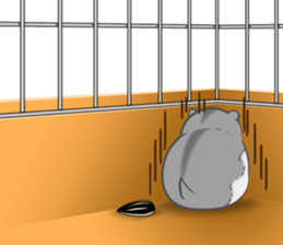 Djungarian Hamster. sticker #8793193