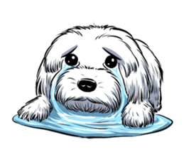 Dodo Maltese sticker #8797637