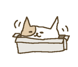 English cute cat stickers sticker #8797896