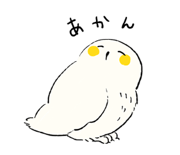 Animals of the Arctic and the Antarctic sticker #8799304