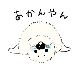 Animals of the Arctic and the Antarctic sticker #8799305