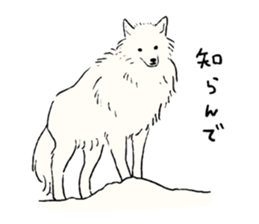 Animals of the Arctic and the Antarctic sticker #8799306