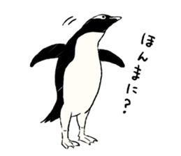 Animals of the Arctic and the Antarctic sticker #8799308