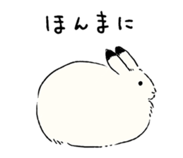 Animals of the Arctic and the Antarctic sticker #8799309