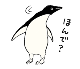 Animals of the Arctic and the Antarctic sticker #8799324