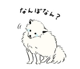 Animals of the Arctic and the Antarctic sticker #8799328