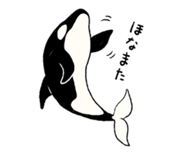 Animals of the Arctic and the Antarctic sticker #8799329