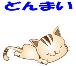 Puns of cat sticker #8800295