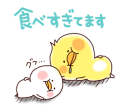 2 birds of cute chick Sticker2 sticker #8801963