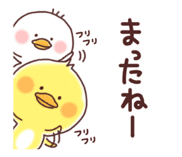 2 birds of cute chick Sticker2 sticker #8801977