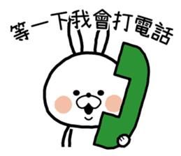 White rabbit in Beijing. sticker #8804595
