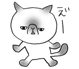 Nekoo exotic short hair(cat) sticker #8805141