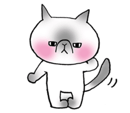 Nekoo exotic short hair(cat) sticker #8805143