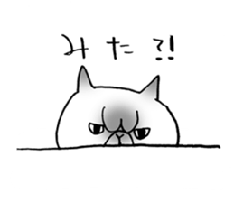 Nekoo exotic short hair(cat) sticker #8805144