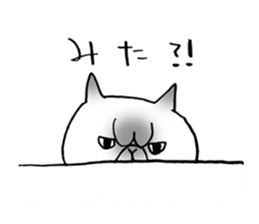 Nekoo exotic short hair(cat) sticker #8805144