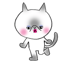 Nekoo exotic short hair(cat) sticker #8805146