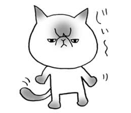 Nekoo exotic short hair(cat) sticker #8805149