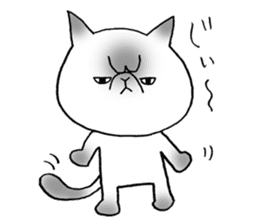 Nekoo exotic short hair(cat) sticker #8805149