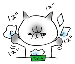 Nekoo exotic short hair(cat) sticker #8805157