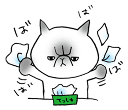 Nekoo exotic short hair(cat) sticker #8805157