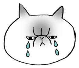 Nekoo exotic short hair(cat) sticker #8805158